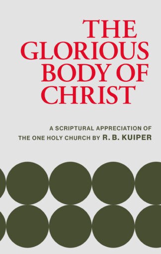 A Christian book cover highlighting the biblical depiction of Christ's glorious body, emphasizing scripture-based Christian teachings and themes relevant to the Banner of Truth UK.