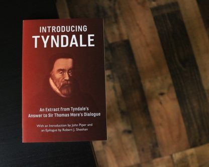 image of the book 'Introducing Tyndale'