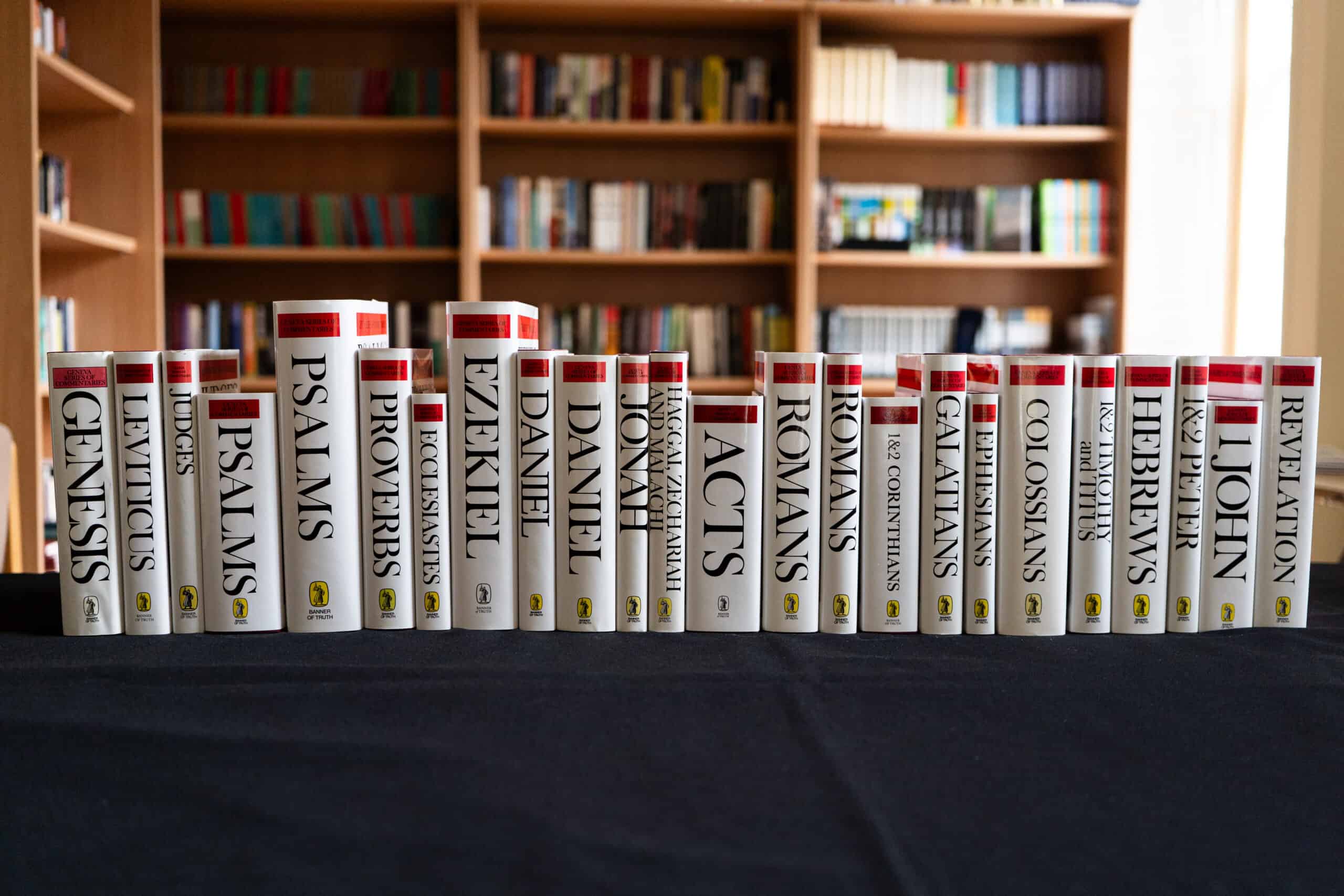 Geneva Commentary Series Set