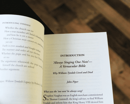 image of the book 'introducing tyndale'