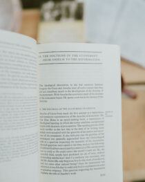 The History of Christian Doctrines by Louis Berkhof