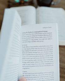 Living the Psalms by David Murray