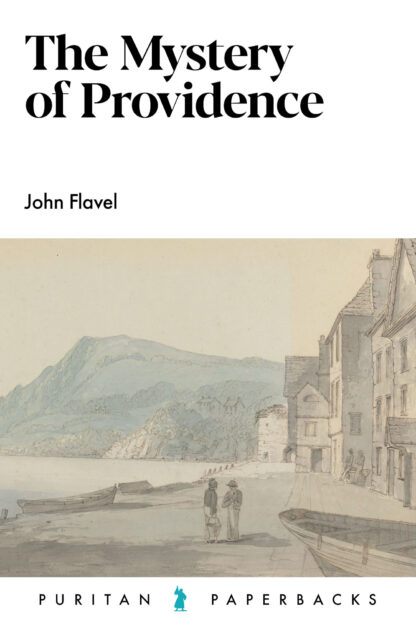 The Mystery of Providence by John Flavel