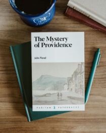 The Mystery of Providence by John Flavel
