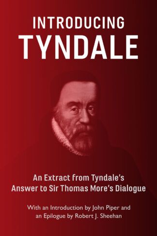 Introducing Tyndale