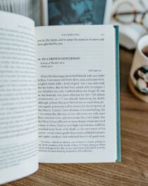 Letters of John Calvin