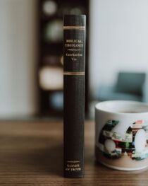 Biblical Theology by Geerhardus Vos