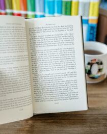 Romans, Volume 14 by Martyn Lloyd-Jones